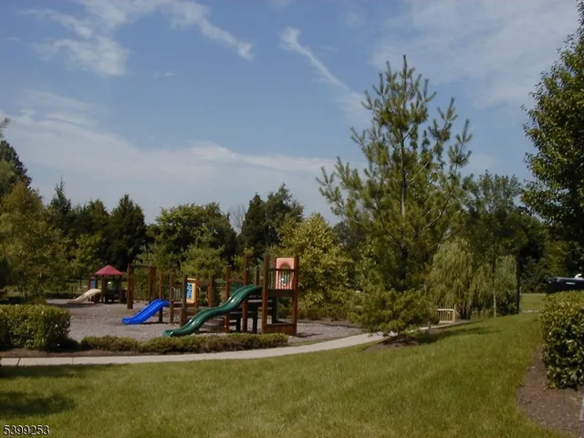 a view of a park with large trees