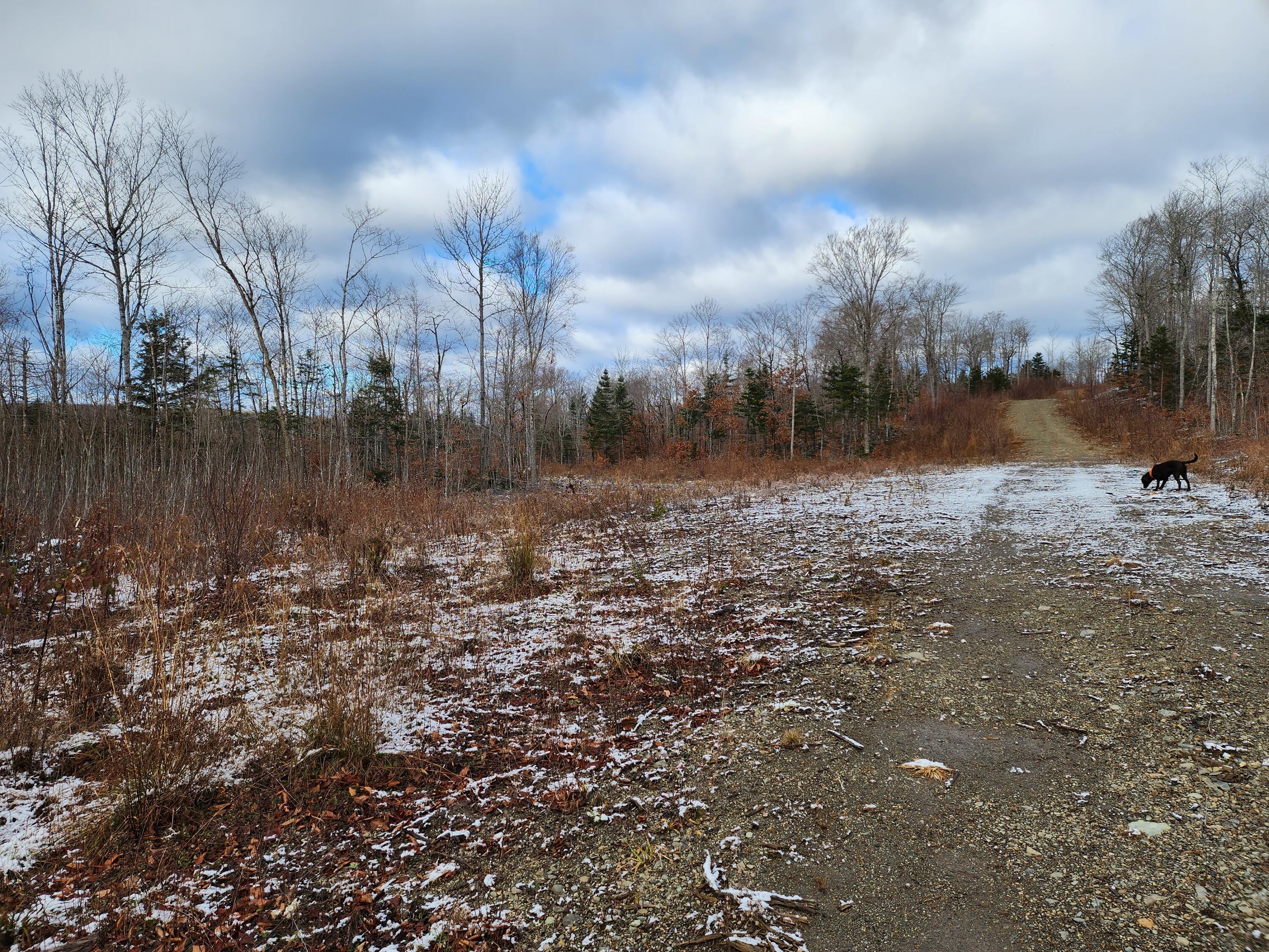 4 Greenleaf Brook Road Amity, ME 04471 - Photo 6 of 9 20231120_113112