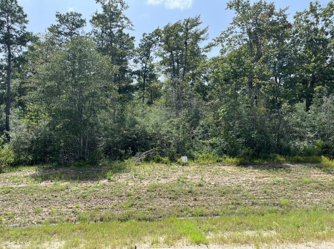 231 Iron Horse Road Willis, TX 77378 - Photo 5 of 7 a view of backyard with green space