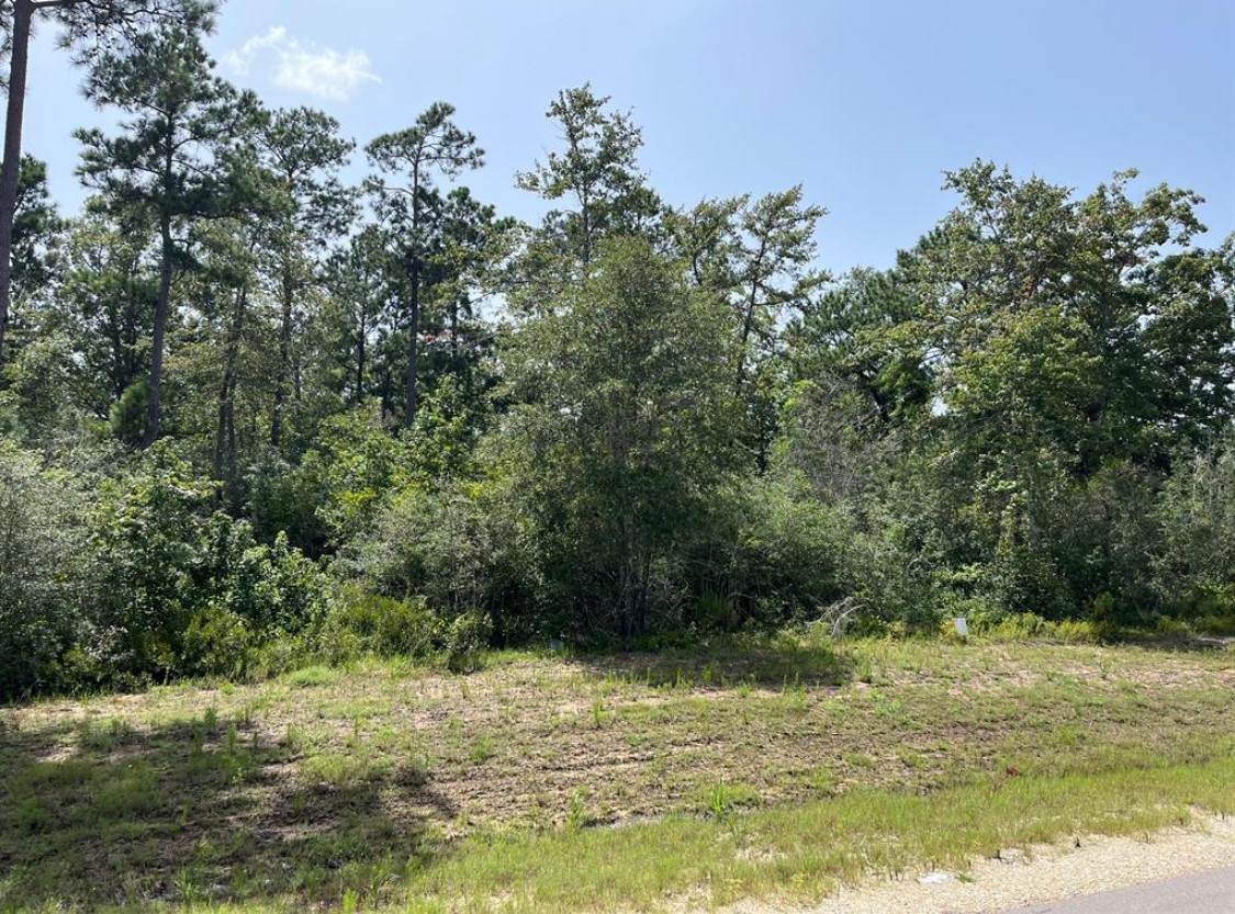 231 Iron Horse Road Willis, TX 77378 - Photo 6 of 7 a view of a ocean view