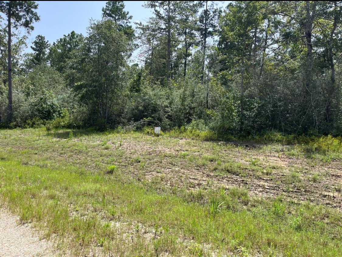 231 Iron Horse Road Willis, TX 77378 - Photo 7 of 7 a view of outdoor space with a garden