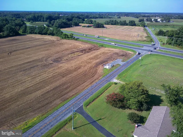 a view of a field with a tree in the background
