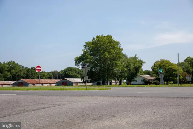a view of a field with a trees in the background