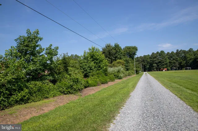 a view of grassy field with trees