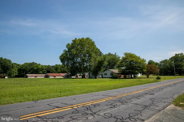a view of grassy field with trees