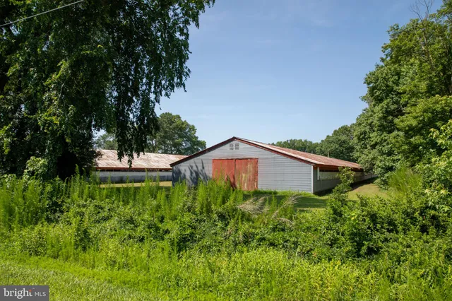 a view of a field with a tree in the background
