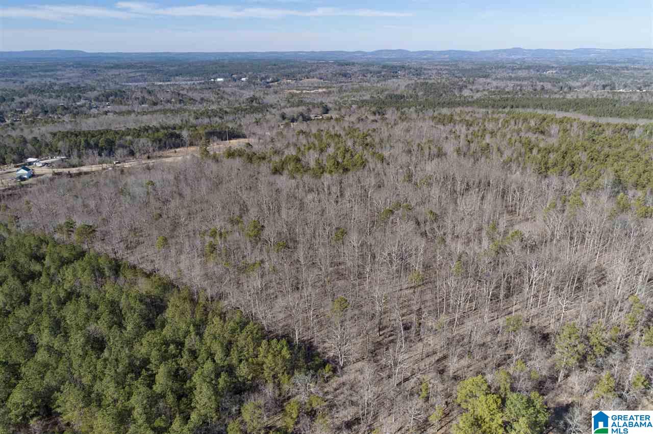 0 Mountain Drive, Unit 159ACRES Remlap, AL 35133 - Photo 1 of 8