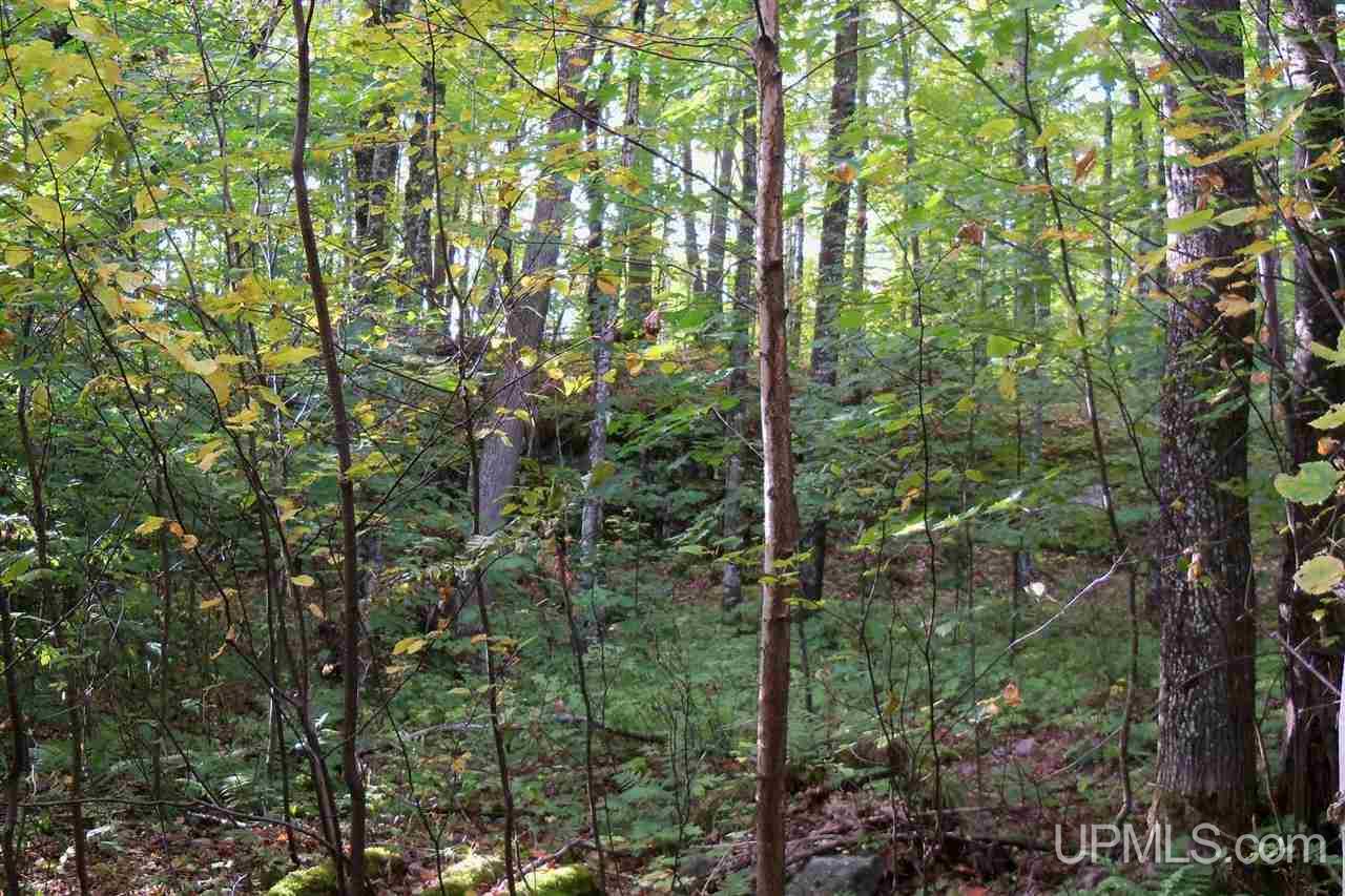 26 Co Road Negaunee, MI 49866 - Photo 12 of 31