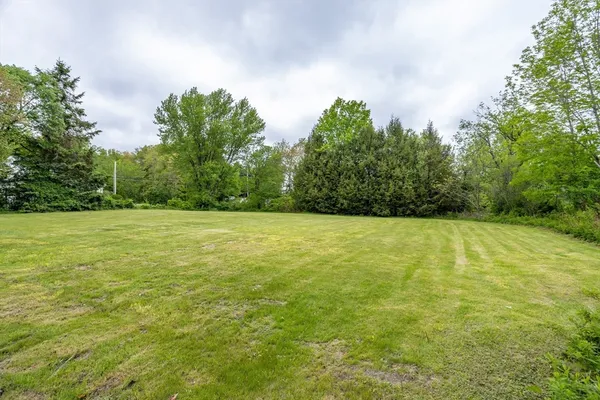 a view of a yard with a trees