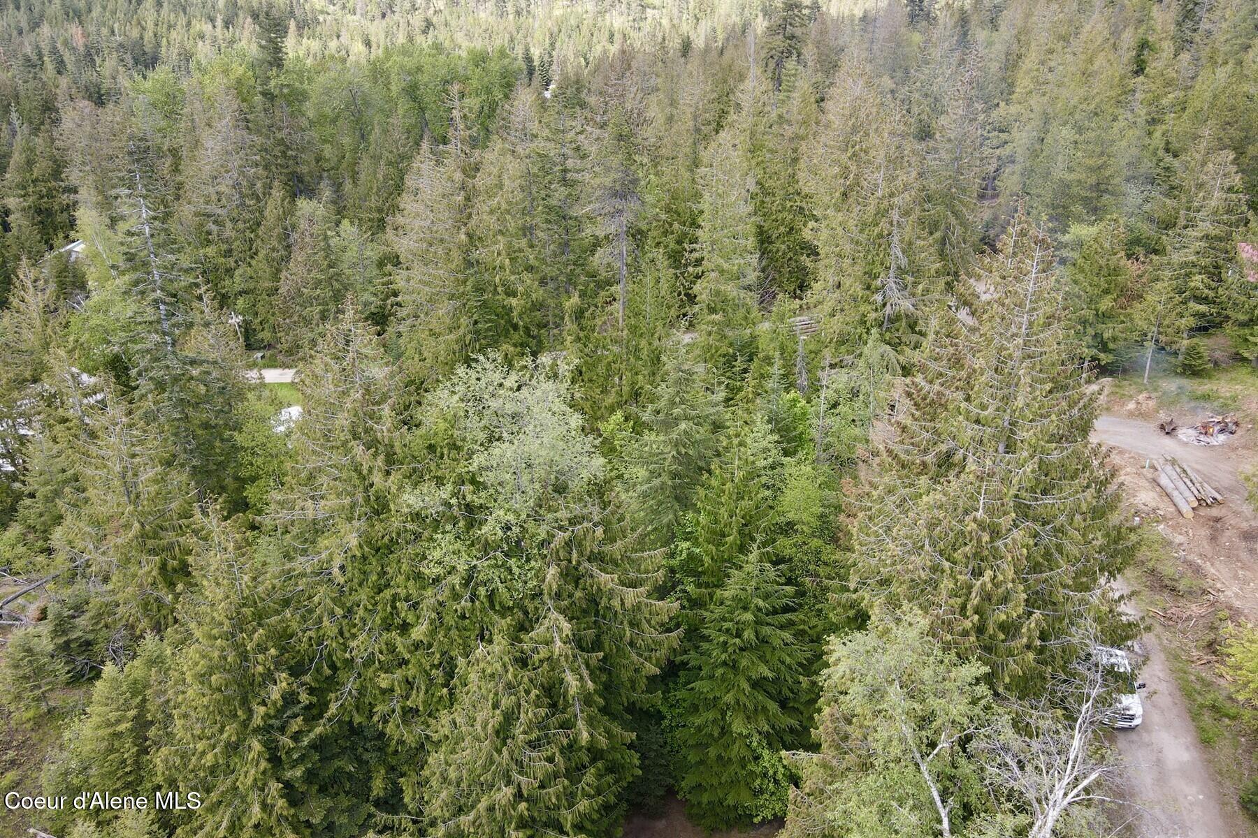 Nna Lot 4 Nna Road Sagle, ID 83860 - Photo 20 of 36 020_dji_fly_20260518_143802_628_1779