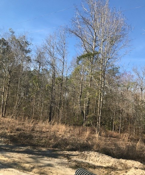 0 Little Oak Road Williston, SC 29853 - Photo 3 of 4