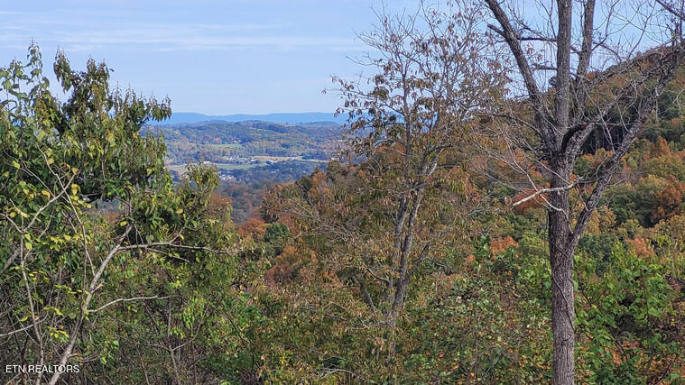 140 Panoramic Drive Maynardville, TN 37807 - Photo 15 of 15 IMG_0930