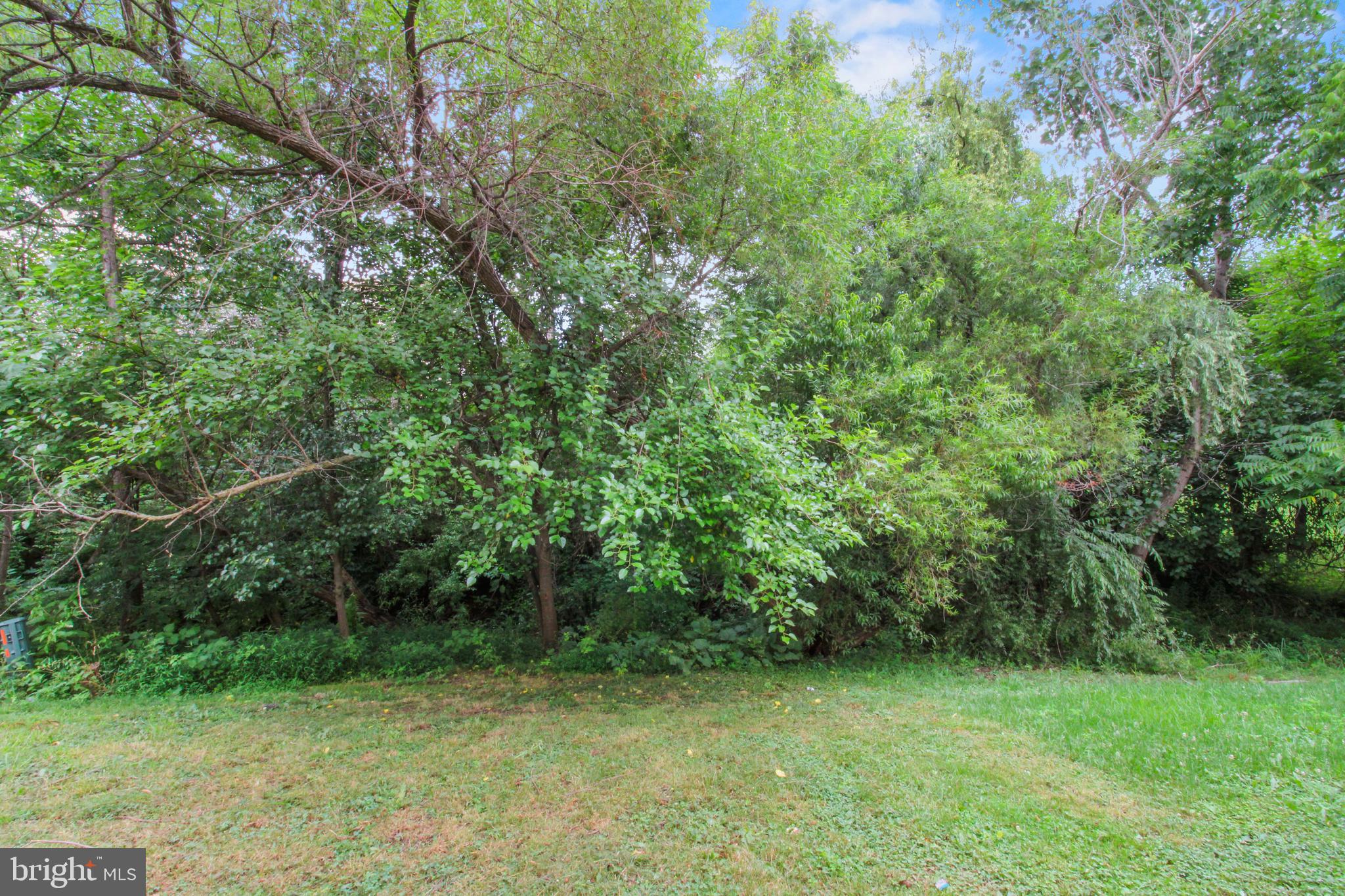 424 Ridgefield Avenue Stephens City, VA 22655 - Photo 15 of 15 Gallery Image 15