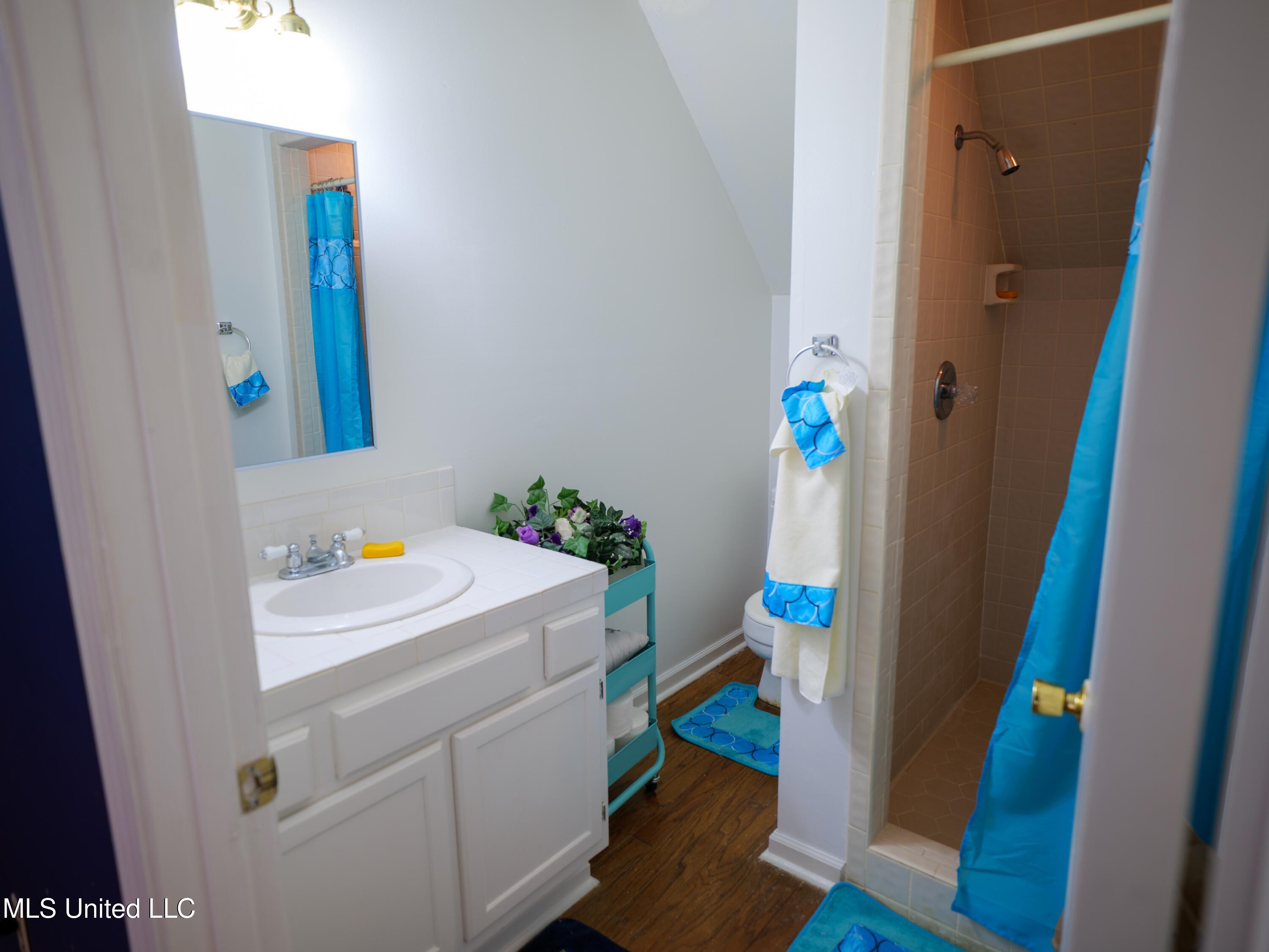 5730 Stateline Road Southaven, MS 38671 - Photo 16 of 20 Bathroom4