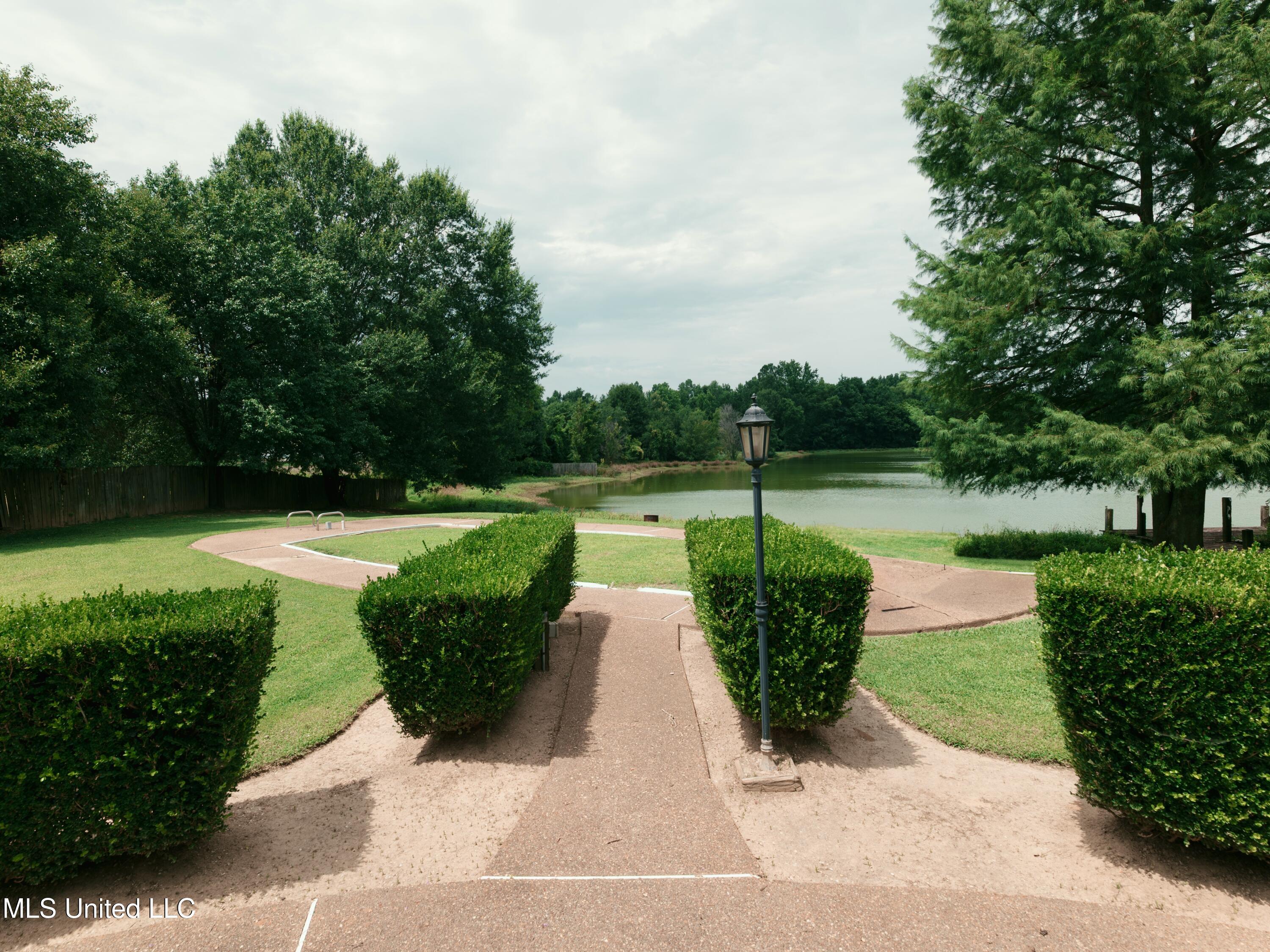 5730 Stateline Road Southaven, MS 38671 - Photo 18 of 20 Backyard1
