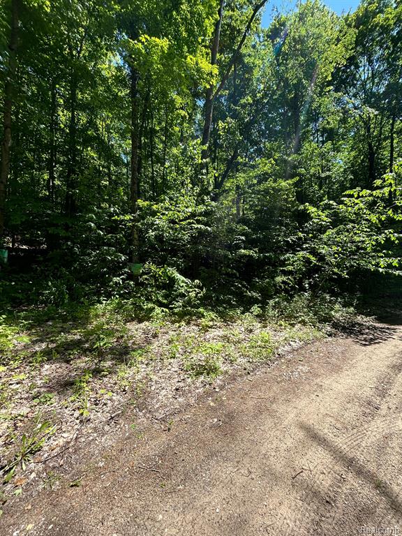 Vl Smith Lake Road Mancelona, MI 49659 - Photo 5 of 9
