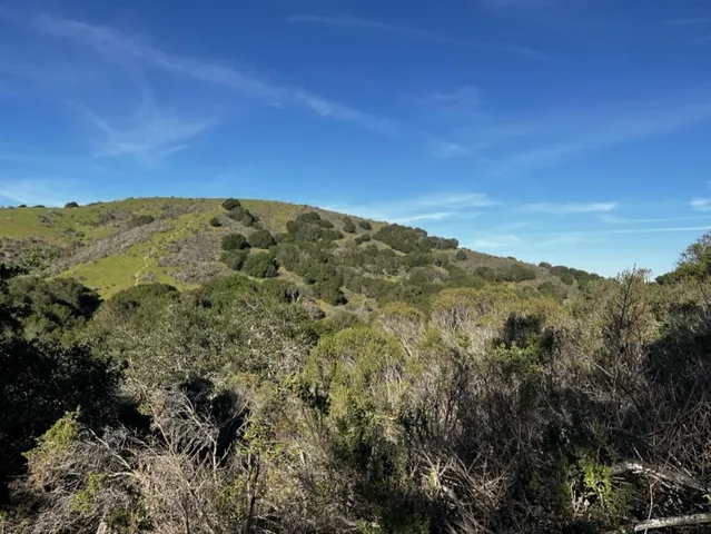 a view of a mountain range with lush green forest