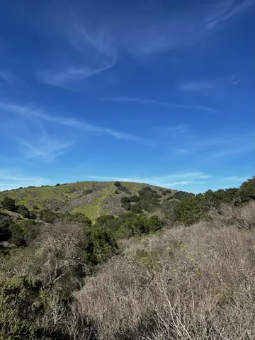 a view of a field with an ocean
