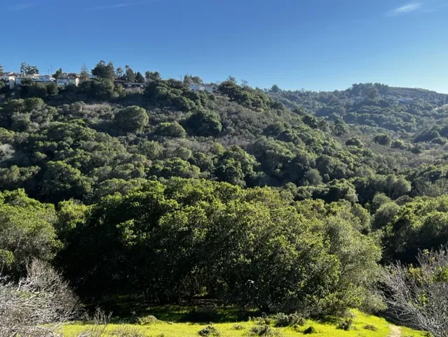 an aerial view of residential house and outdoor space