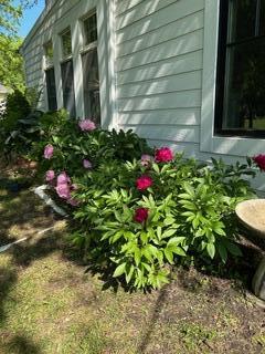 48 South Sashabaw Road Ortonville, MI 48462 - Photo 25 of 40 IMG_0686