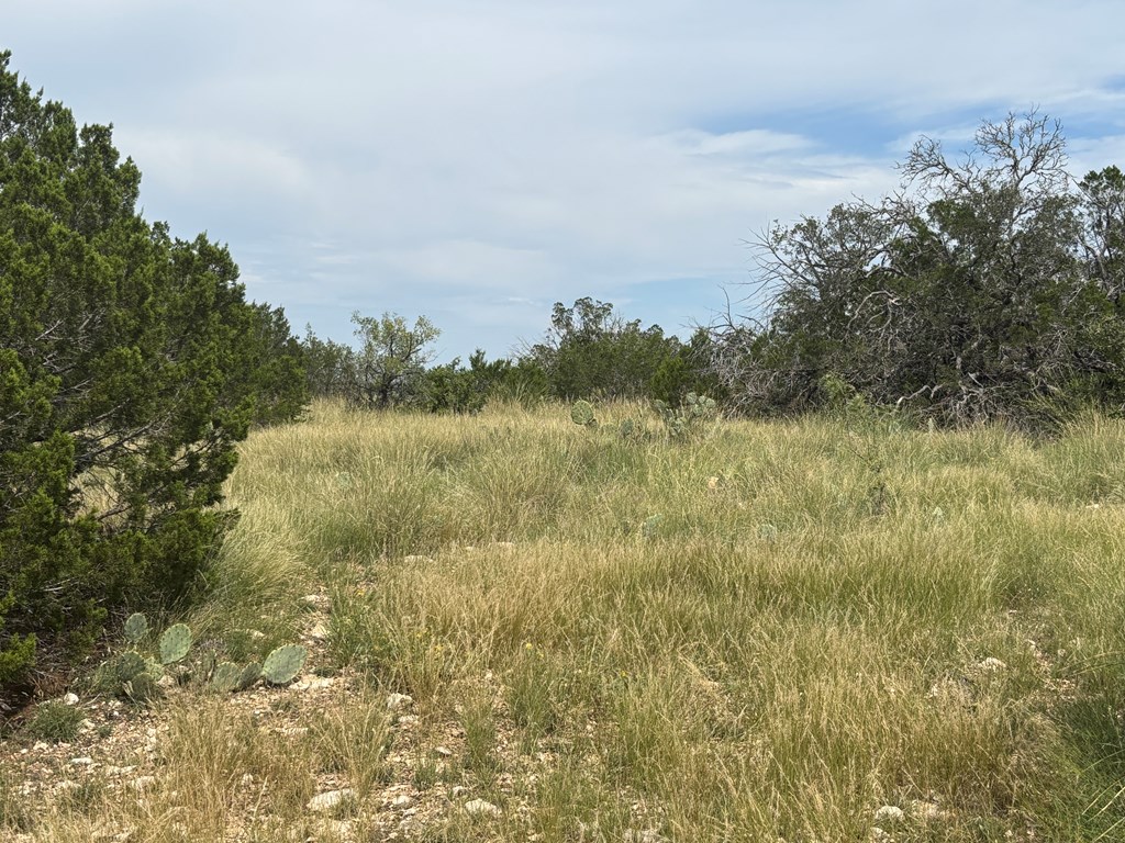 667 Other Rocksprings, TX 78880 - Photo 24 of 30
