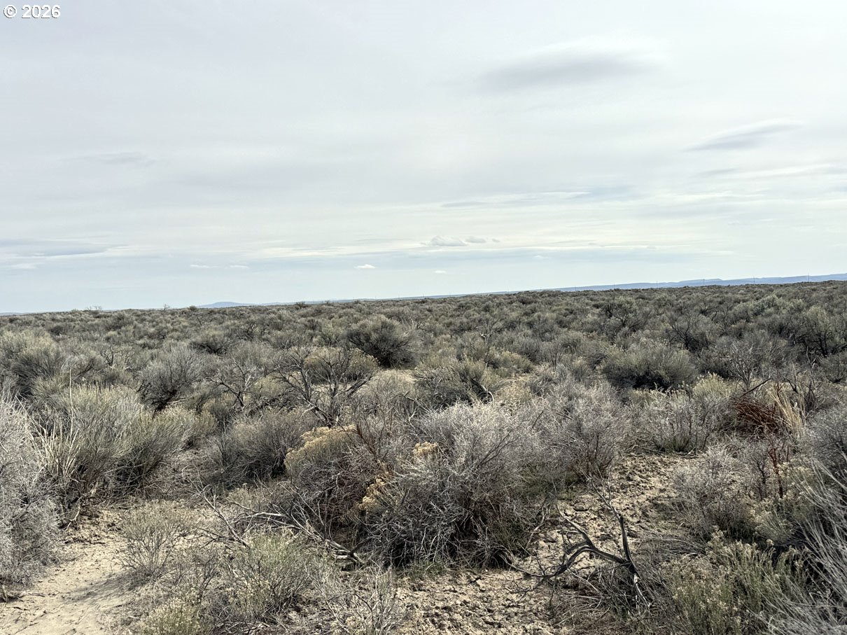 Fossil Lake Road, Unit 100 Christmas Valley, OR 97641 - Photo 22 of 25