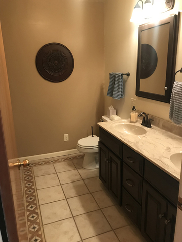 307 Prairie Street Spring Valley, IL 61362 - Photo 14 of 21 a bathroom with a sink mirror vanity and toilet