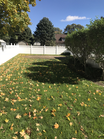 307 Prairie Street Spring Valley, IL 61362 - Photo 21 of 21 a view of a yard
