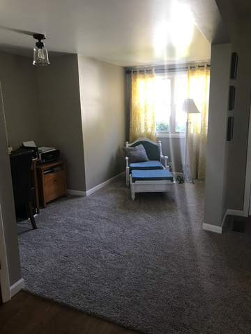 307 Prairie Street Spring Valley, IL 61362 - Photo 7 of 21 a view of room with window
