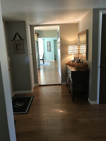 307 Prairie Street Spring Valley, IL 61362 - Photo 9 of 21 a view of a hallway with wooden floor and a living room
