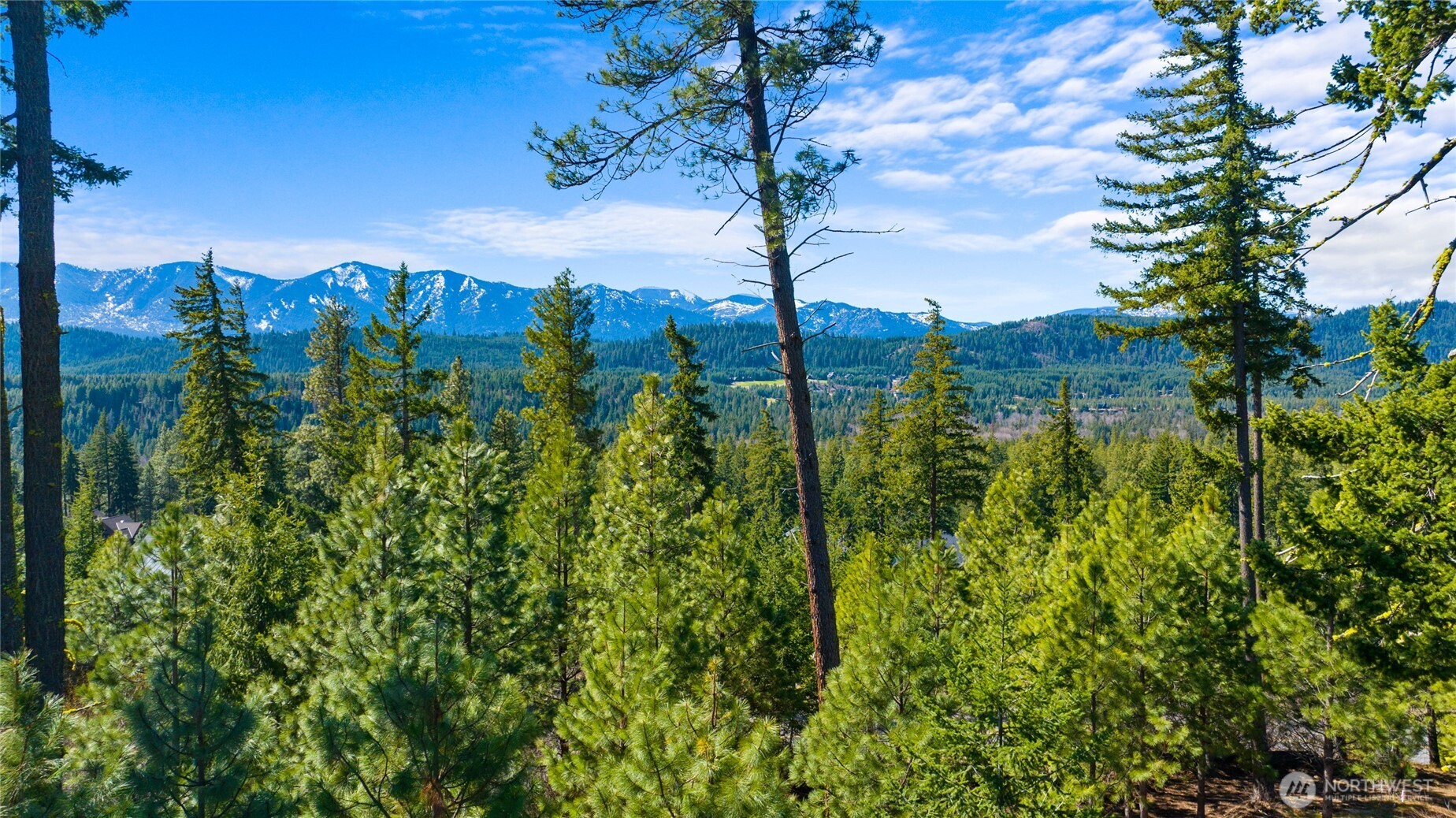 10 Red Sky Way Ronald, WA 98940 - Photo 11 of 17 a view of a garden