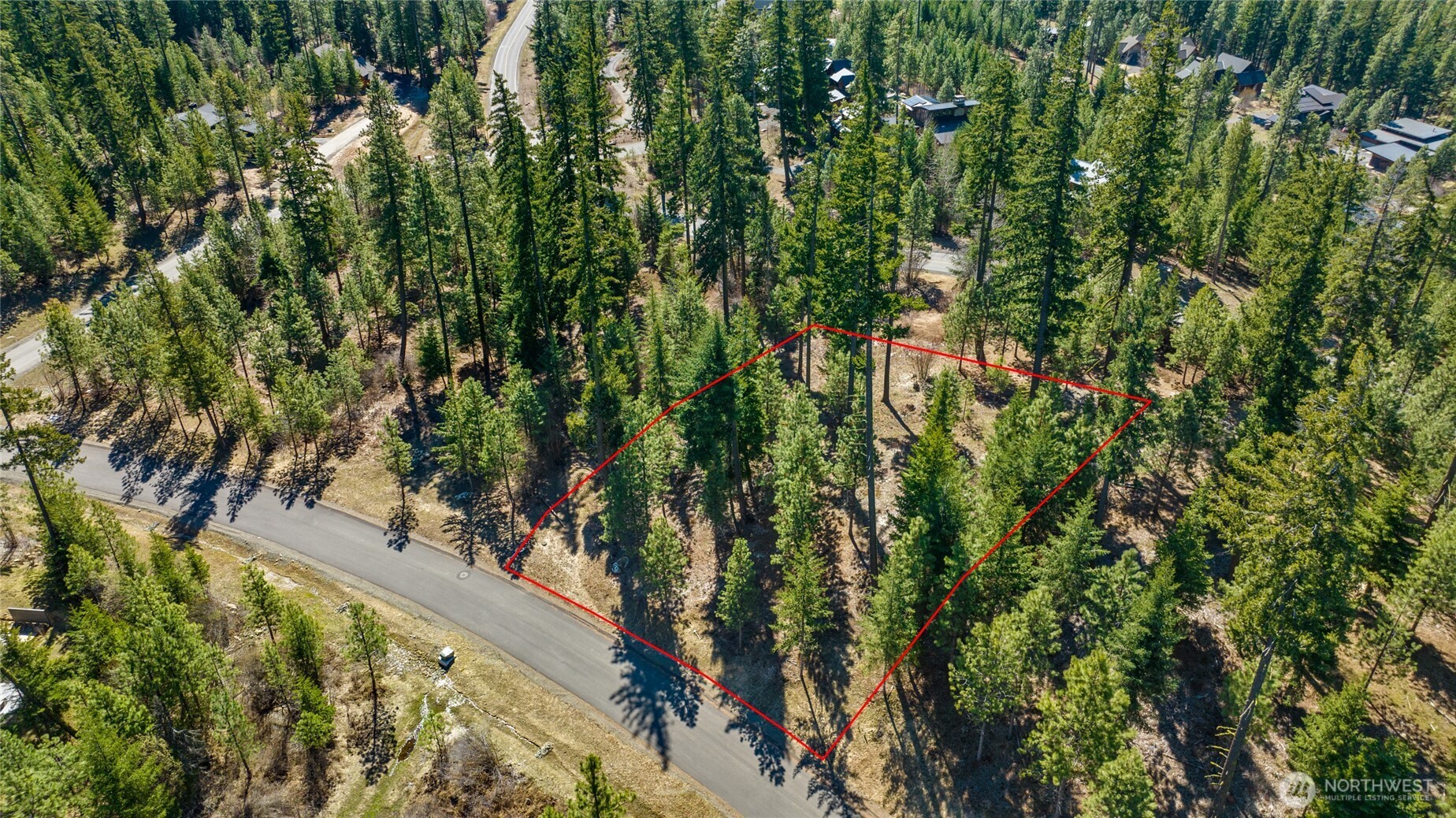 10 Red Sky Way Ronald, WA 98940 - Photo 16 of 17 a view of a forest from a tree