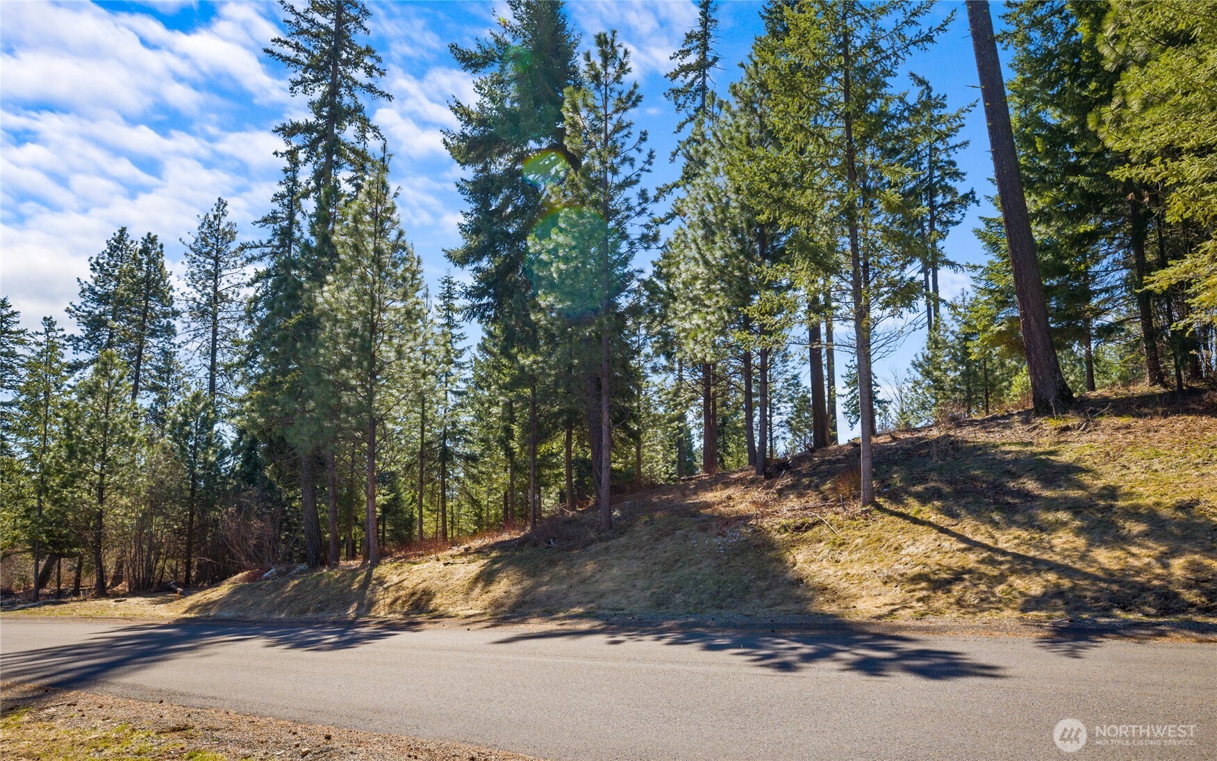 10 Red Sky Way Ronald, WA 98940 - Photo 2 of 17 a view of a yard with a tree