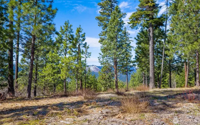 $625,000 | 10 Red Sky Way, Ronald, WA 98940