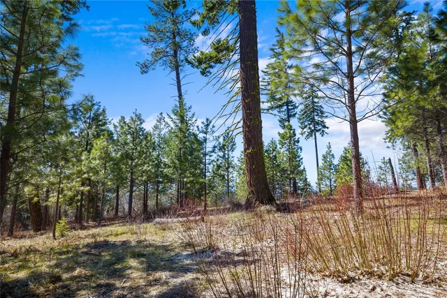 $625,000 | 10 Red Sky Way, Ronald, WA 98940