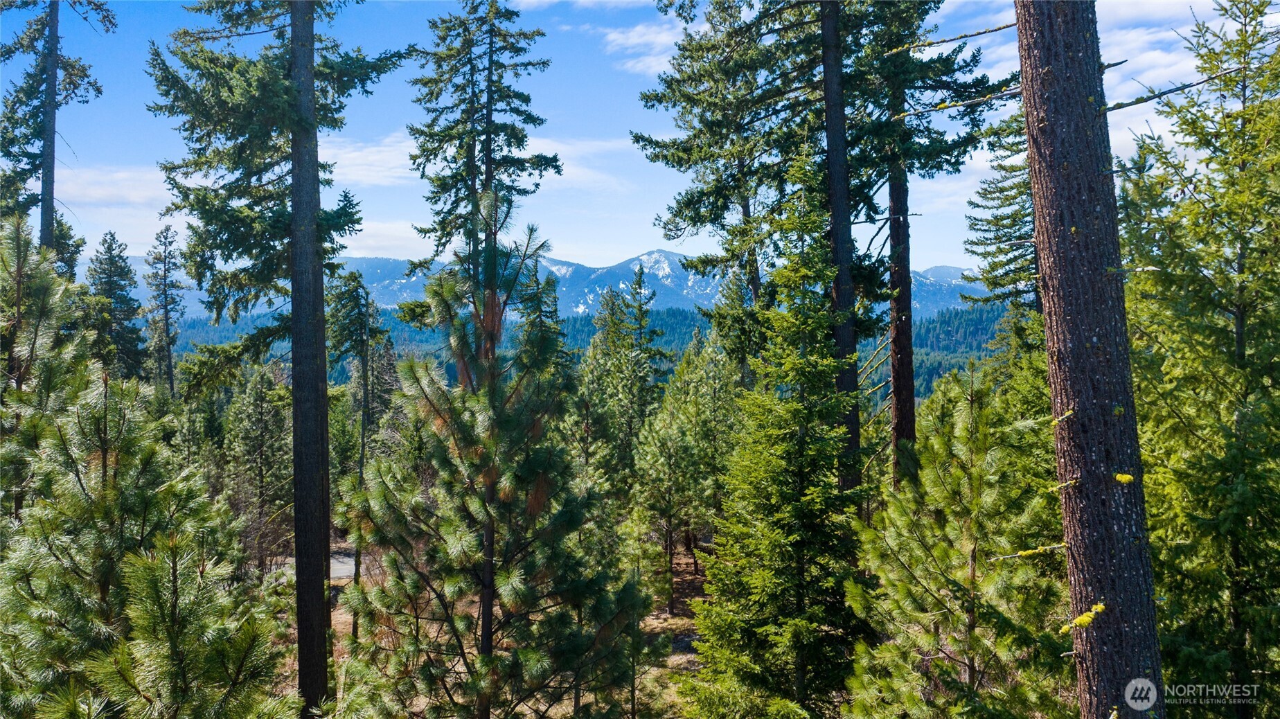 10 Red Sky Way Ronald, WA 98940 - Photo 5 of 17 a view of a garden