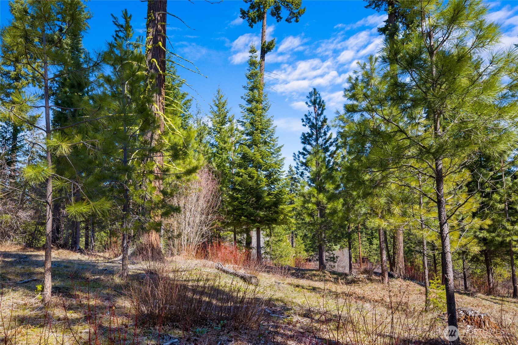 10 Red Sky Way Ronald, WA 98940 - Photo 6 of 17 a view of backyard with outdoor space