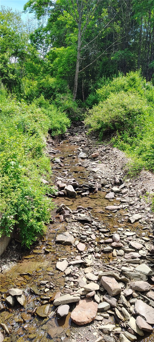 116 Fisk Hill Road Mount Upton, NY 13809 - Photo 3 of 47 creek that runs along property