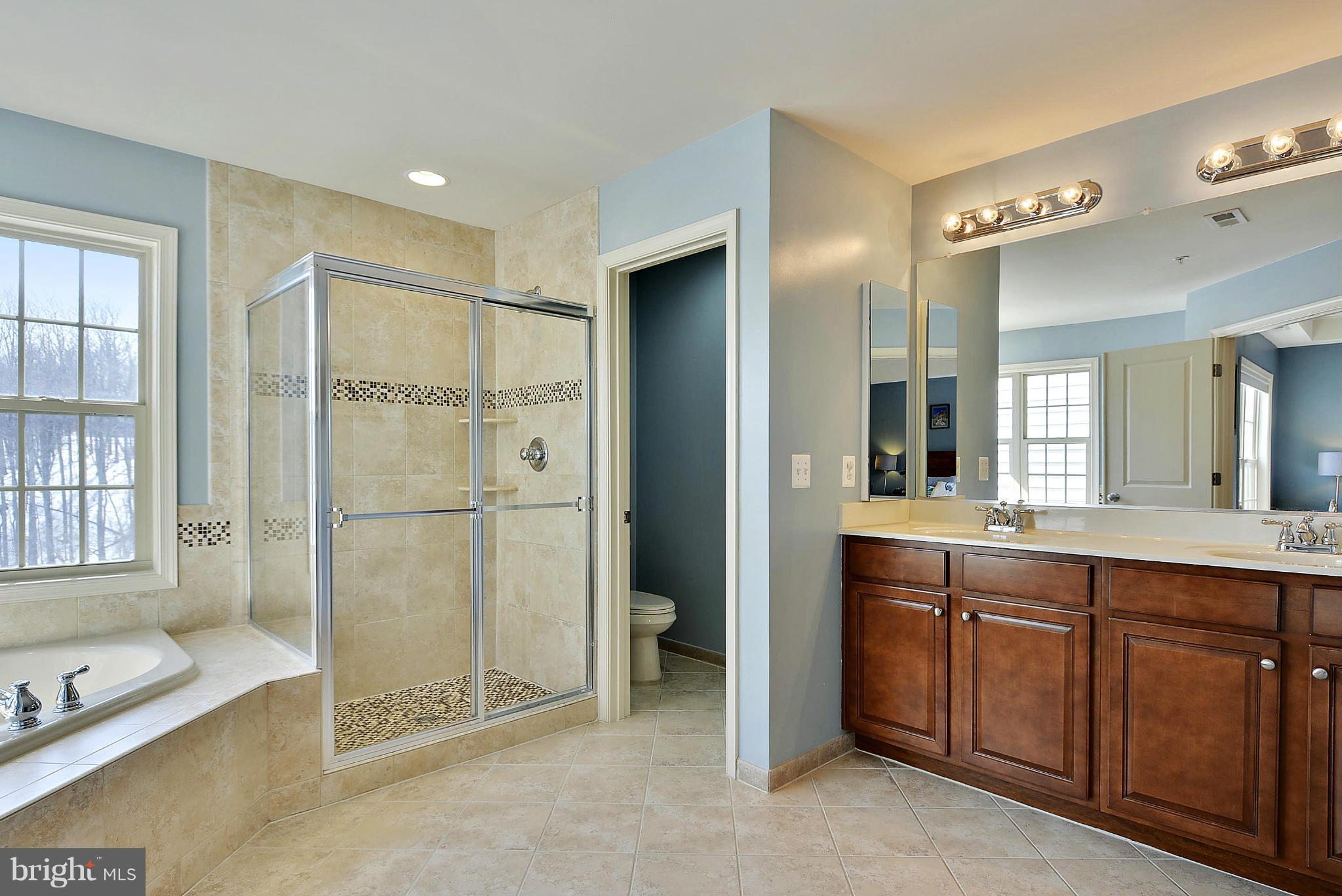 1516 Rabbit Hollow Place Silver Spring, MD 20906 - Photo 17 of 29 Bath (Master) 1