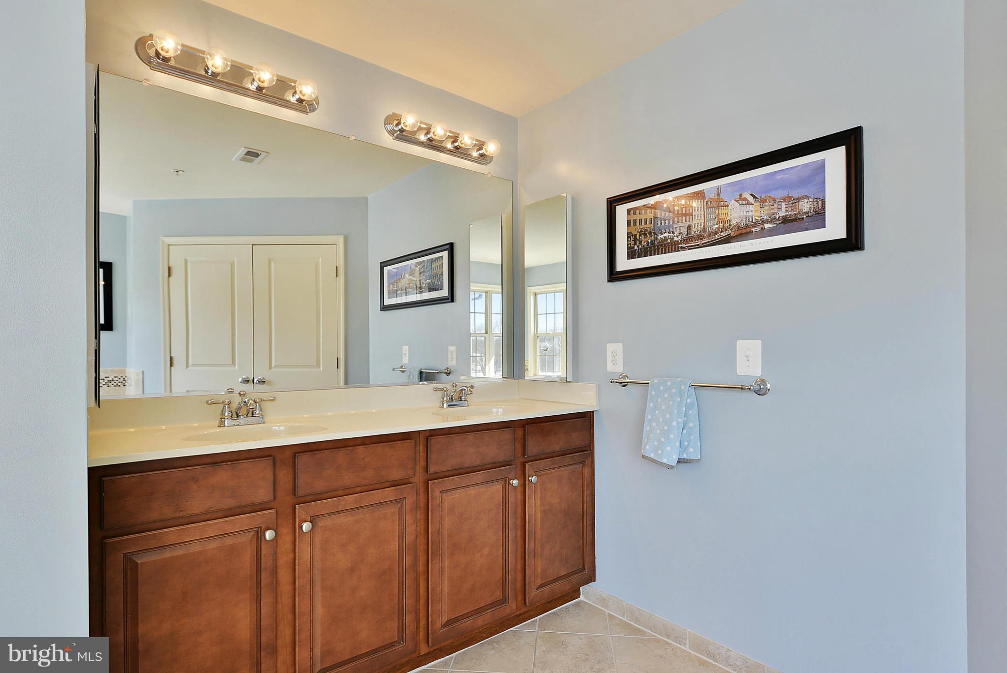 1516 Rabbit Hollow Place Silver Spring, MD 20906 - Photo 19 of 29 Bath (Master) 3