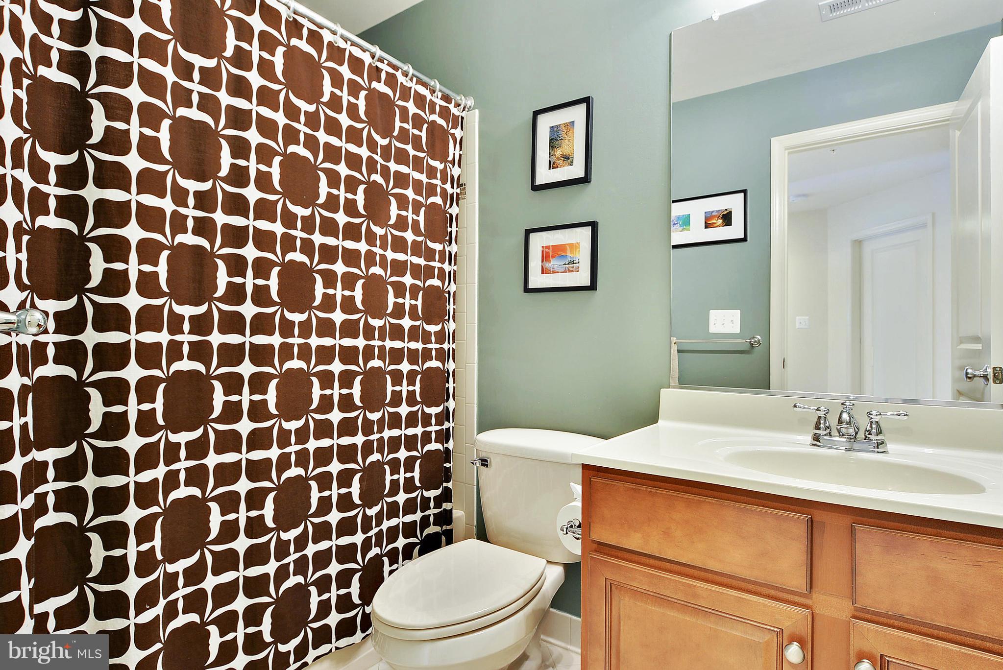 1516 Rabbit Hollow Place Silver Spring, MD 20906 - Photo 22 of 29 Hall Bath