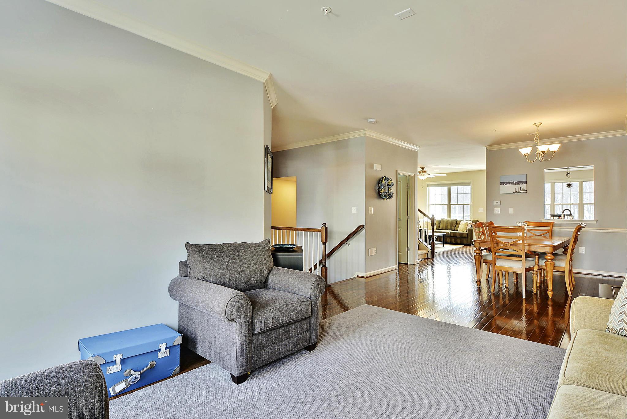 1516 Rabbit Hollow Place Silver Spring, MD 20906 - Photo 5 of 29 Living Room 3