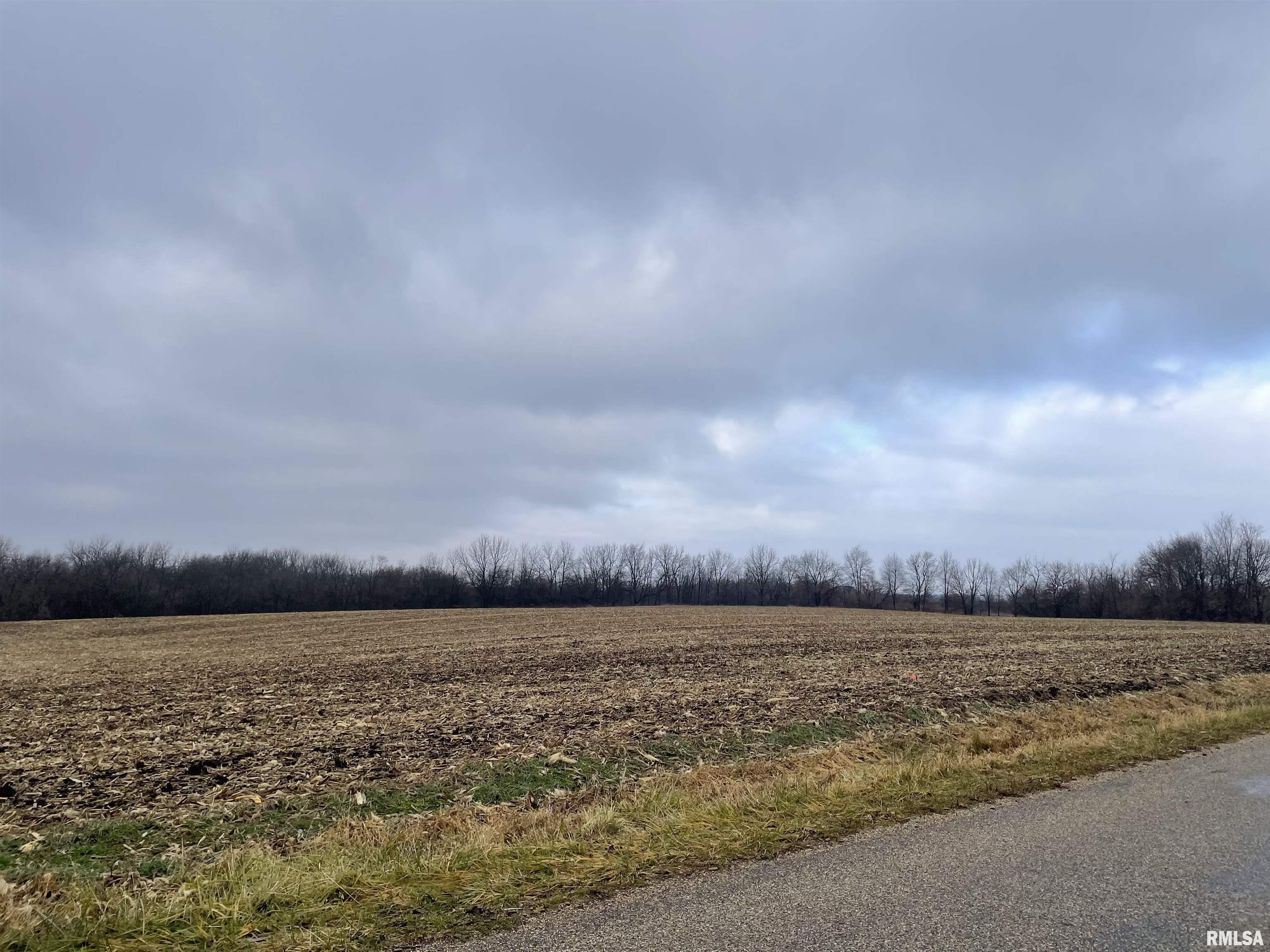 0 North Brimfield Road Laura, IL 61451 - Photo 1 of 28 Gallery Image 1