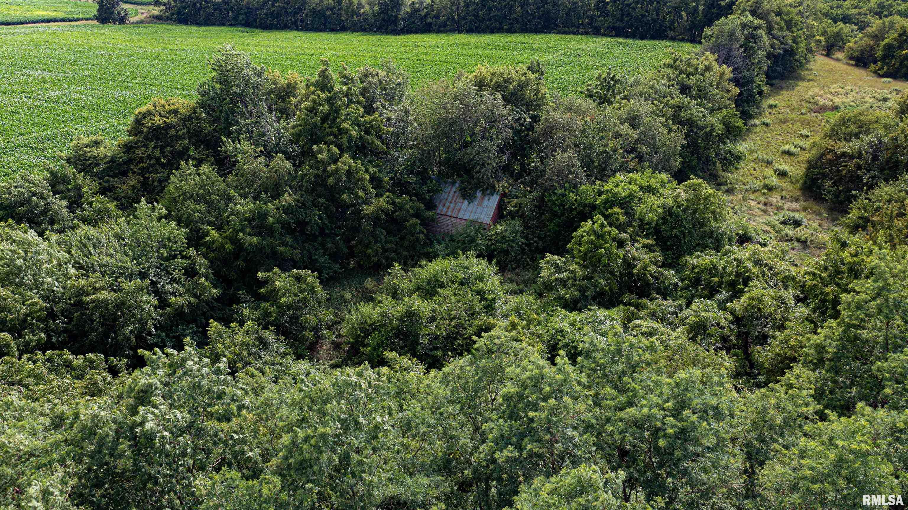 0 North Brimfield Road Laura, IL 61451 - Photo 13 of 28 Gallery Image 13