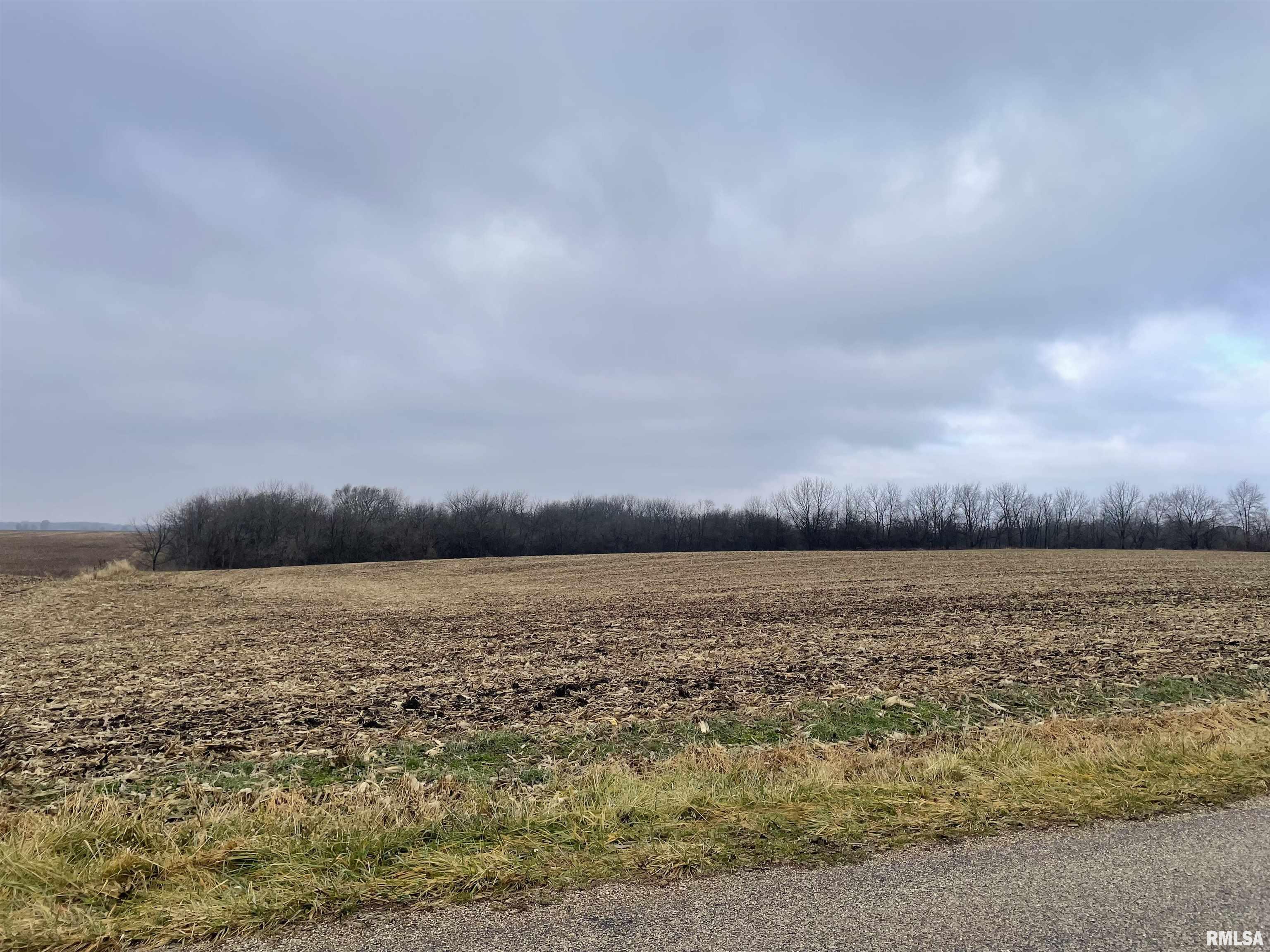 0 North Brimfield Road Laura, IL 61451 - Photo 2 of 28 Gallery Image 2