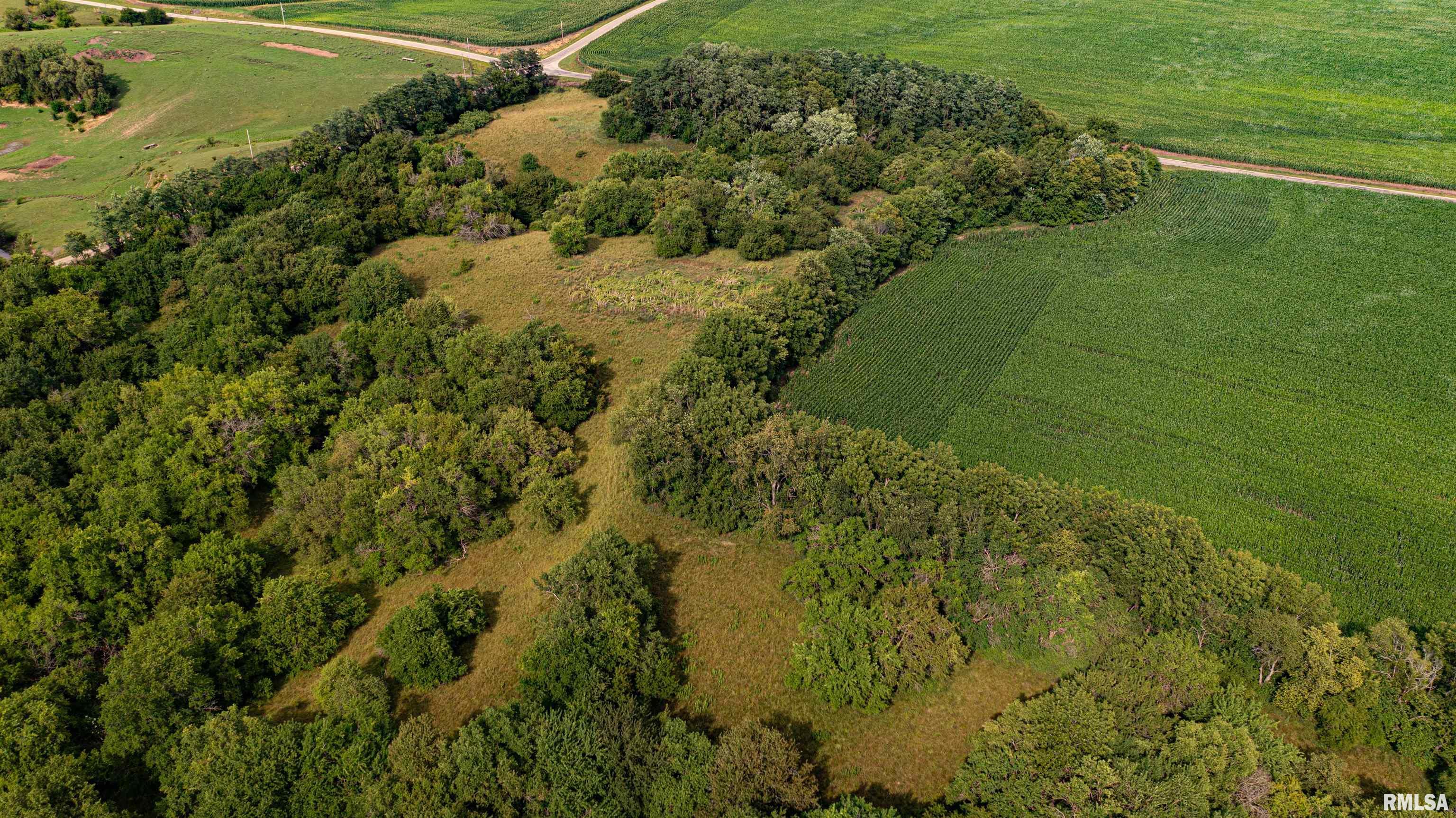 0 North Brimfield Road Laura, IL 61451 - Photo 5 of 28 Gallery Image 5