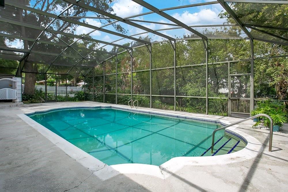412 Forest Street Windermere, FL 34786 - Photo 19 of 34 a view of a backyard