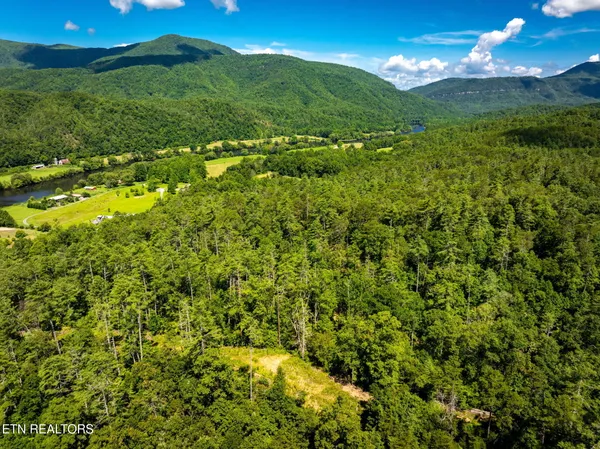 $565,000 | 37 Hambright Road, Reliance, TN 37369