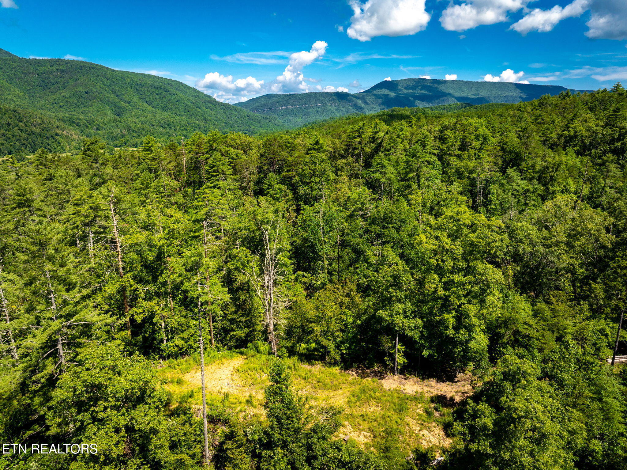 37 Hambright Road Reliance, TN 37369 - Photo 11 of 41 32-web-or-mls-DJI_20250714082722_0925_D-