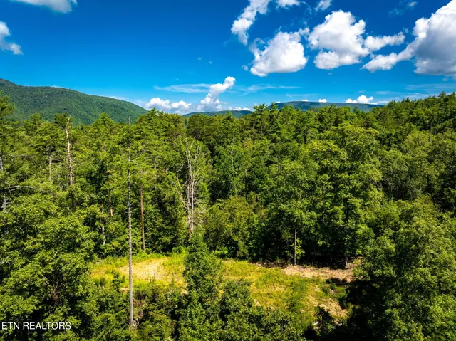 $565,000 | 37 Hambright Road, Reliance, TN 37369